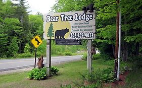 Bear Tree Lodge Meredith Nh